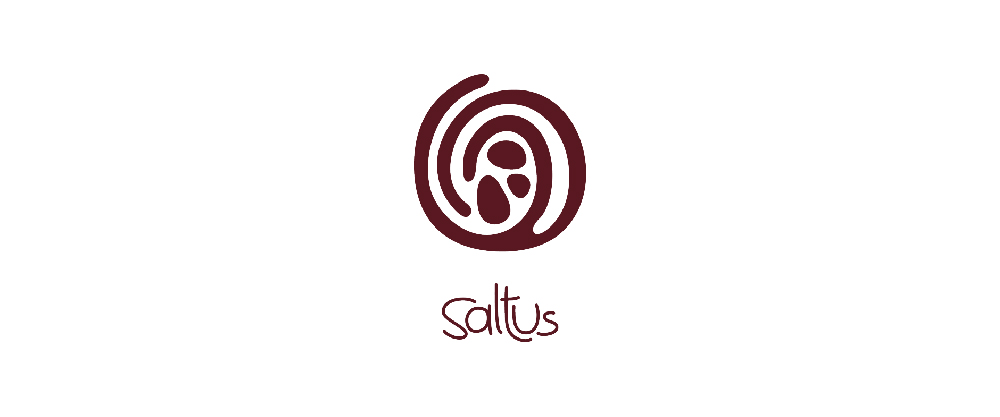 Logo de SALTUS CHOCOLATES